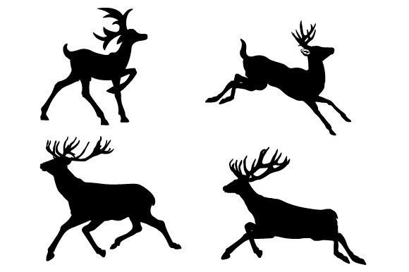 Download Deer Graphic Vector Design - Premium Bundle